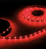SMD5050 RGB+W LED STRIP SERIES